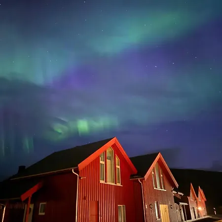 Modern Seafront With Sauna 8 Mins To Leknes *